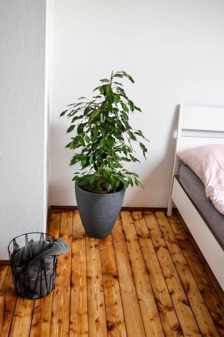 Schoene Dachgeschosswohnung Nahe Koeln Extérieur photo